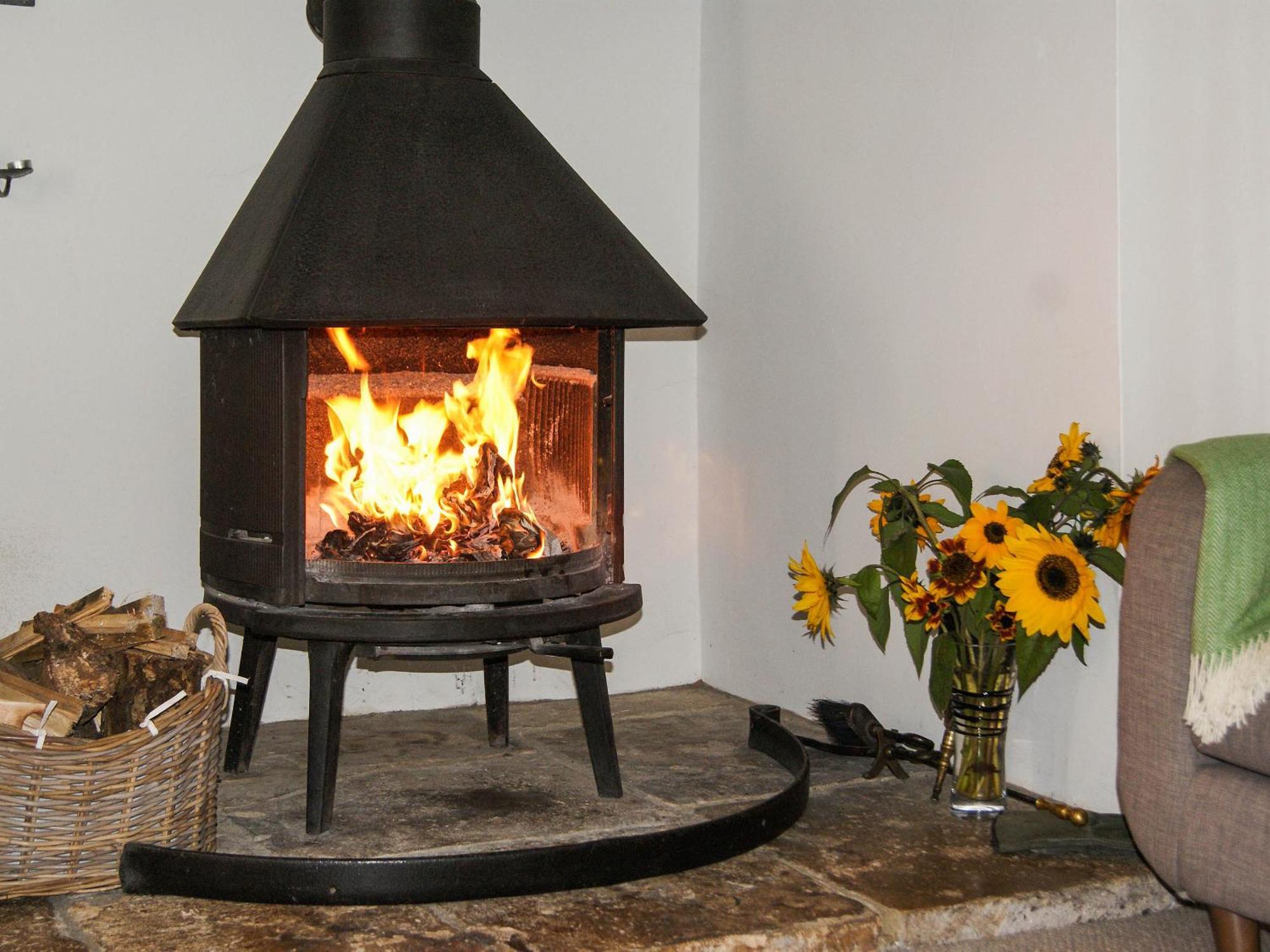 Old Orchard Cottage Haydon Екстер'єр фото
